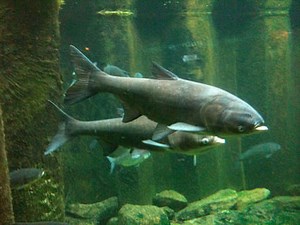 Unit 0 Sustainability