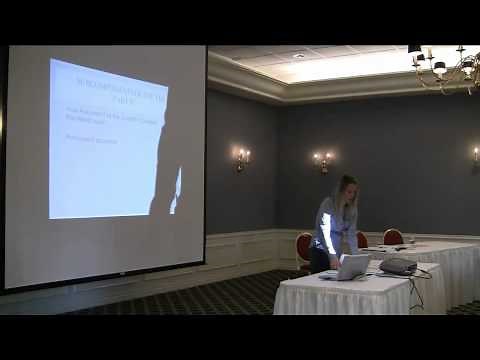 Youth Level of Service / Case Management Inventory (YLS/CMI)