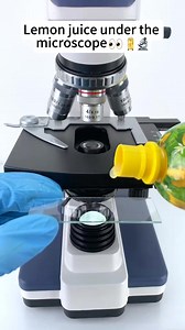3.9K views · 52 reactions | Lemon juice magnified 400 times under a microscope looks absolutely beautiful!#microscope | Home Making II | Facebook