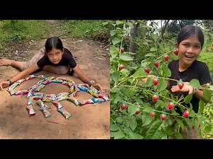 Part 45 Survival Skills SMART Ideas and USEFUL in Forest With Single Mom Jungle Life