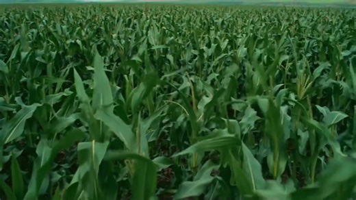 Interstellar Analysis: Exploring Time and Space Themes