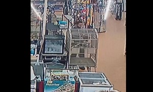 WATCH: Man smuggles python out of pet store by hiding it in his pants