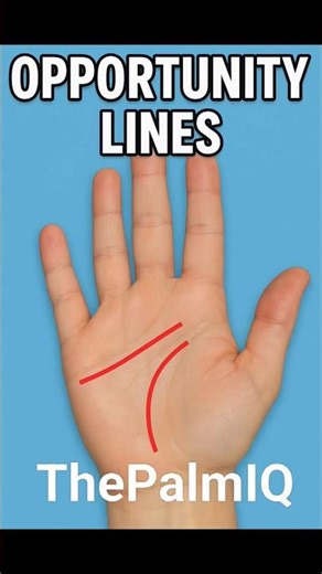 Opportunity Lines on Palm✋ | Success Palmistry Secrets by ThePalmIQ |#palmistry #palmist