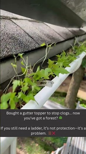 Trees in Your Gutters? Your Topper Isn’t Working 🌳🪜