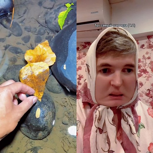 grfyffggdgf on TikTok