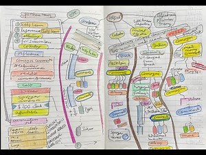 My (Totally Nonlinear) Process for Buying Math Books