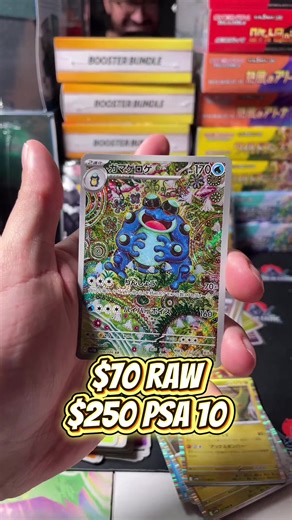 Why is English seismitoad being pumped? ⠀⠀⠀⠀⠀⠀⠀⠀⠀⠀⠀⠀ #pokemon #phillylurk #calilurk #pokemontcg #pokemoncards @Lurk Cards @lurkcardshop @phillylurk