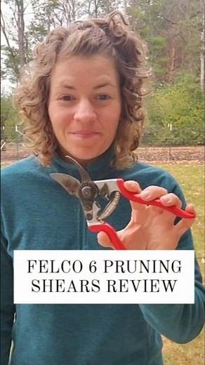 Felco 6 Pruning Shears Review