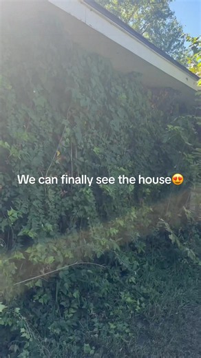 House Renovation Before and After: Final Reveal and Cleanup
