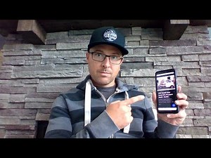 Importing Mini Trucks, Channel Updates and More!