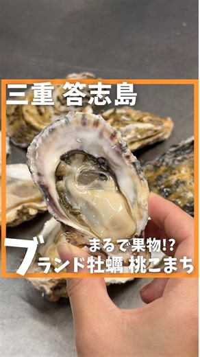 最高に美味しい牡蠣！答志島の桃こまち