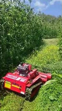 ΤΗΛΕΚΑΤΕΥΘΥΝΟΜΕΝΟΣ ΚΑΤΑΣΤΡΟΦΕΑΣ PANTHER AMD R120