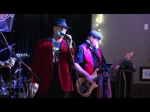 Criminal Squirrel Orchestra - I Want to Dance with You