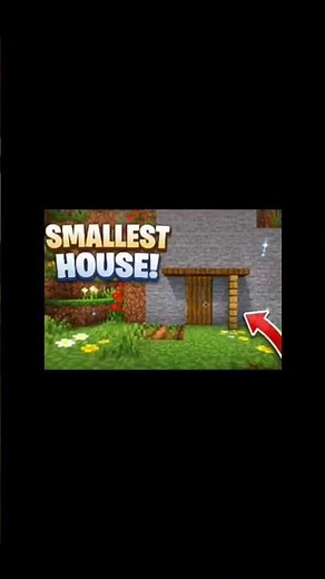 I Built the SMALLEST House in Minecraft 😱