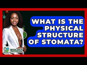 What Is The Physical Structure Of Stomata? - Biology For Everyone