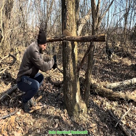 Building an Amazing Shelter Cabin | Solo Survival Bushcraft