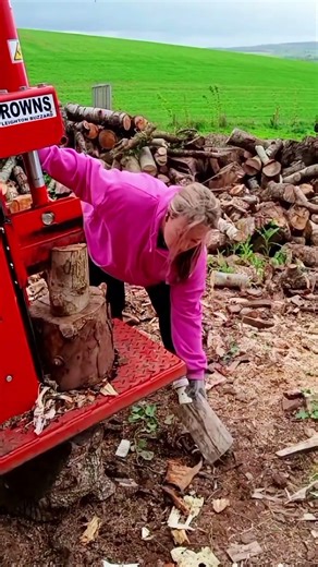 #log splitter #firewood