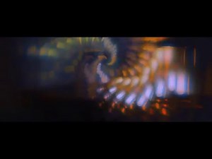 Young Wonder // Birth (Official Video)