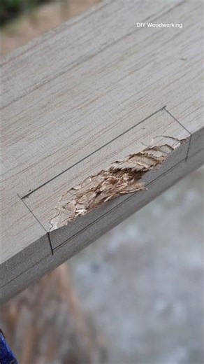 Perfect Wood Patch Repair #shorts #woodworking #diy