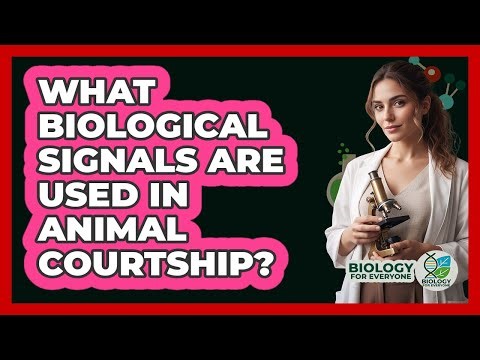 What Biological Signals Are Used in Animal Courtship?