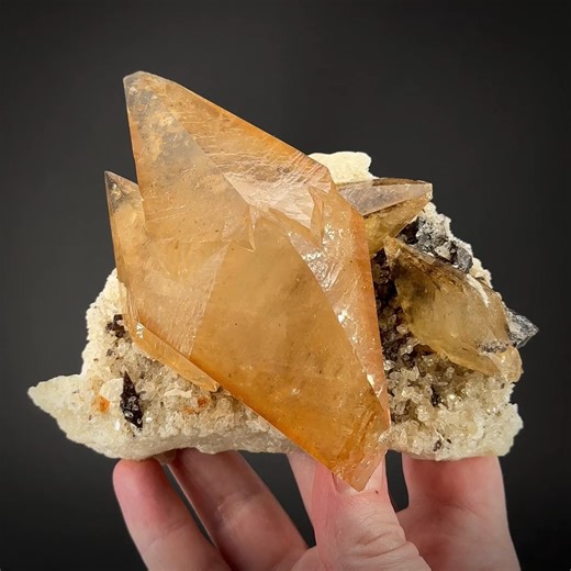 Calcite on Baryte with Sphalerite - Elmwood Mine, Carthage, Smith Co., Tennessee, USA More info: https://www.irocks.com/minerals/specimen/51913 A classic Elmwood calcite with golden amber color, gemminess, luster, and a sharp twin plane in the middle, this is truly a special display piece because of how the large crystal floats up and off of a well isolated matrix. Contrast of the rich deep amber color against white baryte is special, and uncommon at this size of a crystal. At 13 cm across, tip 