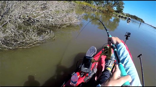 Targeting Sheepshead, Black Drum, Trout, and Redfish While Kayak Fishing