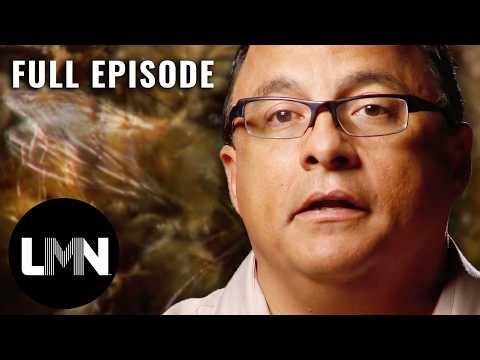 Family Attacked by a SWARM of Bees! (S5, E3) | I Survived | Full Episode | LMN