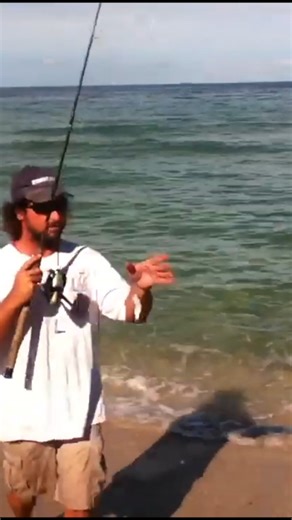 1.6K views | Catching Pilchards for the Ultimate Fishing Adventure!...