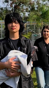 From fear to friendship 💛✨ It’s been one month since the arrival of these lucky turkeys! 💚 Students in the S.A.V.E. Program at Sanctuary at Solid Rock, along with our Director and staff, welcomed 4 rescued turkeys to their temporary enclosure after a much-needed bath. Arriving on December 6th with their tails and feet covered in feces, they were nervous at first, but were welcomed by students who were very eager to meet them 🥰 What a difference a month makes! Thanks to the care and compassion