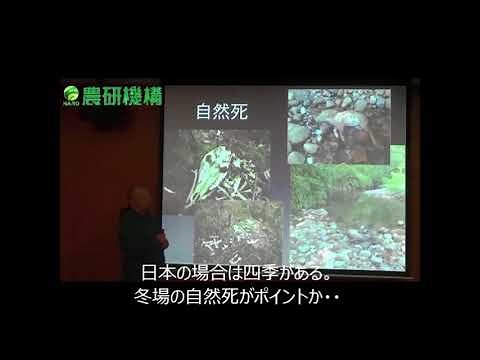 鳥獣被害対策のポイント 1.被害はどうして起こるのか