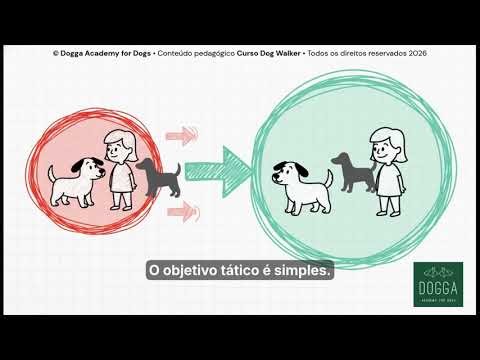 Cão reativo a outros cães? Faz isto primeiro