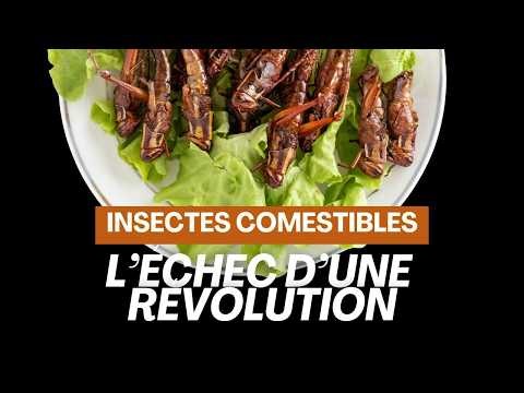 Insectes comestibles : le pari écologique qui a coûté 150M€ aux contribuables