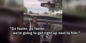 Iowa DOT concludes investigation into driving school, driving instructor can return to teaching