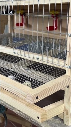DIY cage for 25 quails!!!