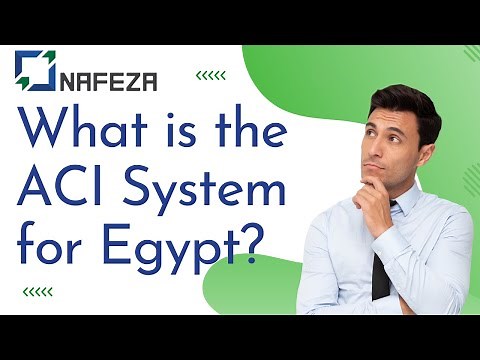 Egypt ACID Number | How the Advanced Cargo Information System (ACI) Works
