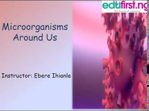 Microorganisms around us | Biology | SS1 | 3rd Term