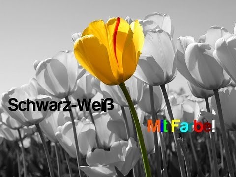 Schwarz weiß mit Farbe Colorkey Gimp