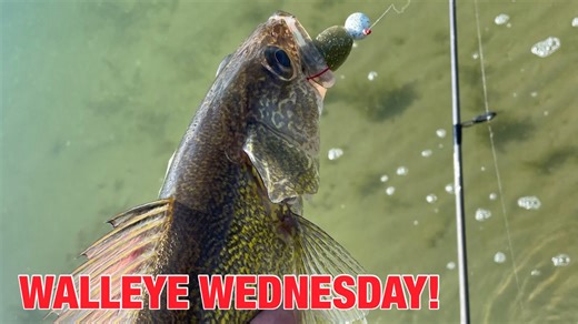 Shoreline Fishing for Fall Walleye!