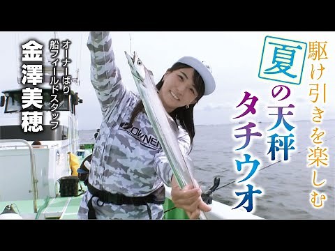 真夏の船上を乱舞！天秤タチウオ