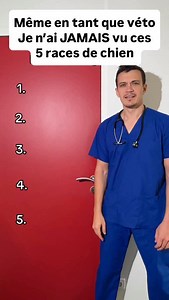 Top 5 races de chien super rares #dog #chien #top #dogsofinstagram #xoloitzcuintle 1. Xoloitzcuintli (Chien nu du Mexique) Origine : race précolombienne sacrée chez les Aztèques, considérée comme guide des âmes vers l’au-delà. Pourquoi rare : absence quasi totale d’élevage en France, aspect très atypique (chien nu, peau sombre, parfois yeux clairs) qui séduit peu le grand public. Seuls quelques passionnés en importent d’Amérique. ⸻ 2. Azawakh Origine : lévrier sahélien du Mali et du Niger, compa