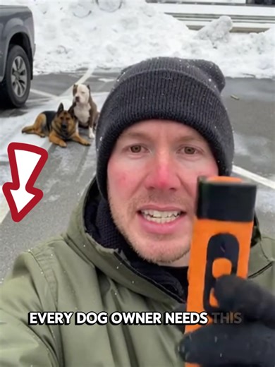 L. Effectively correctbehaviorswithoutshouting.#Dog Skills #DogTraining #Ultrasonic Trainer #DogTrends #LifeHacks Technology