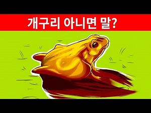 여러분의 성격을 말해주는 11가지 착시 효과