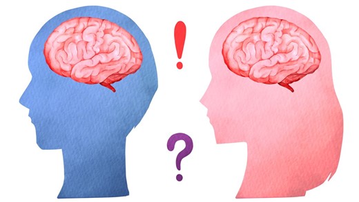 Sex Differences In The Human Brain Observed From Birth In Largest Study Of Its Kind