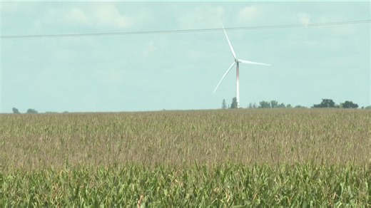 2025 farm income projections paint grim picture for farmers trying to break even