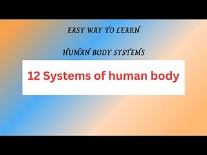 Human | Body Parts |Human organs Function|Anatomy|Physiology|Insides the Human Body⚡Organ system 😍🚀