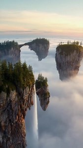 Mind facts that will blow your logic 🤯 #fact #facts #brain #Psychology #viral #fyp (77) | Mind facts