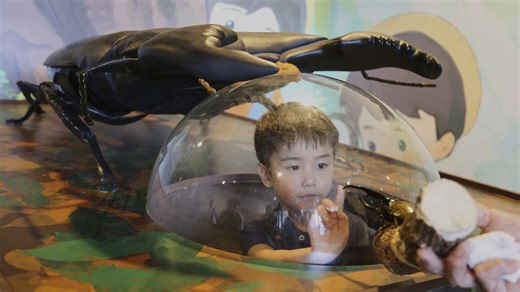 Bugs are popular pets in nature-loving Japan, buzzing with lessons about ecology and species