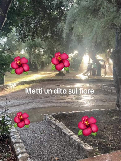 Qual è il tuo numero? Metti il dito su un fiore 47: C'è una versione di te verso cui stai lentamente crescendo... la versione disciplinata di te, quella guarita, quella sicura di sé. Quest'anno non ti limiterai a sognare di diventare quella persona... diventerai davvero quella persona. Non perché la vita diventi più facile, ma perché tu sei diventato più forte. Ogni lezione difficile ti ha dato chiarezza. Ogni battuta d'arresto ti ha dato determinazione. Ogni lacrima ha irrigato il tuo coraggio.