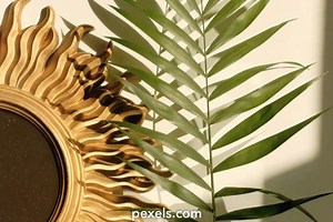 Background Valorant Videos, Download The BEST Free 4k Stock Video Footage & Background Valorant HD Video Clips