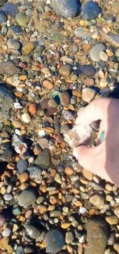 Jade agate royal #crystals #naturalamethyst #beach #rock #rockhounding